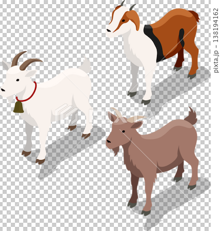 Isometric farm goat livestock illustration Isometric farm goat livestock illustration 138194162