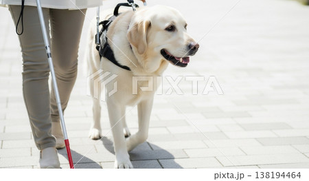 公園で盲導犬と過ごす視覚障害者 138194464
