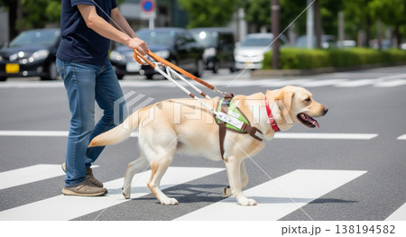 盲導犬と視覚障害者の生活 138194582