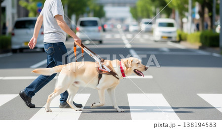 盲導犬と視覚障害者の生活 138194583