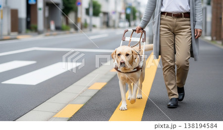 盲導犬と視覚障害者の生活 138194584