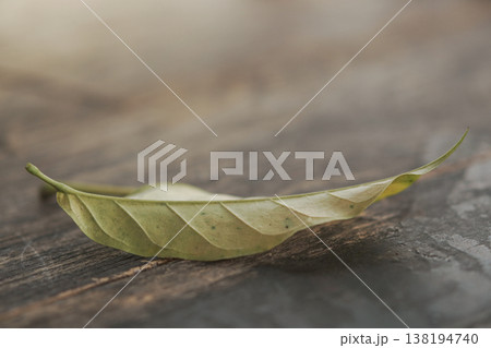 dry leaves on a wooden table 138194740