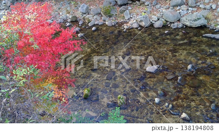 室生川の流れと紅葉 138194808