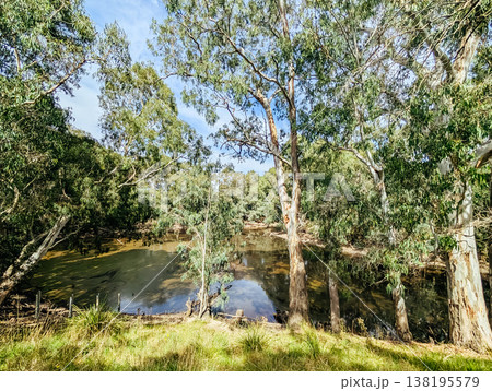 Bolin Bolin Lake in Australia 138195579