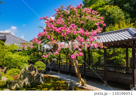 【京都風景】南禅寺(3) 輪廻の戒め伝える六道庭 138196051
