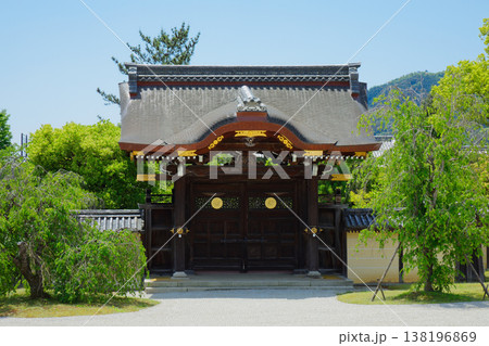 大覚寺 勅使門 若葉に新緑 青もみじ 大覚寺 勅使門 若葉に新緑 青もみじ 138196869
