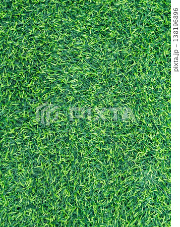 Textured surface of artificial grass 138196896