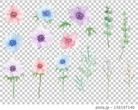 Watercolor Anemone Botanical Set Watercolor Anemone Botanical Set 138197140
