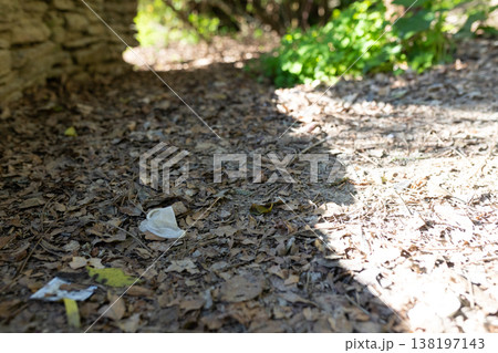Discarded plastic cup littering forest ground causing pollution Discarded plastic cup littering forest ground causing pollution 138197143