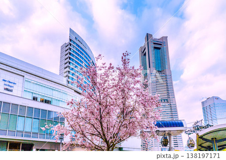 日本の横浜都市景観3月27日。エアキャビンの桜木町駅や横浜ランドマークタワー、満開の桜などを望む 138197171