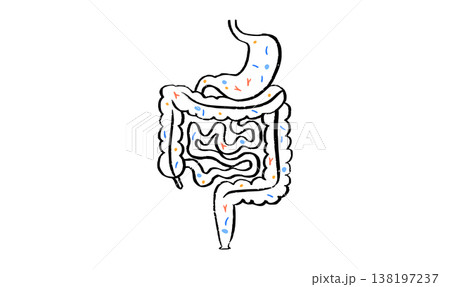 Gut Brain Connection Gut Brain Connection 138197237