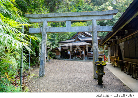 速川神社の拝殿と鳥居(西都市) 速川神社の拝殿と鳥居(西都市) 138197367
