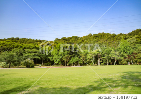 近江富士花緑公園／滋賀県野洲市三上 138197712