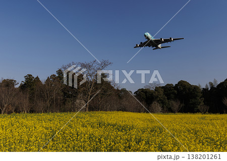 菜の花畑とエアバスA380 菜の花畑とエアバスA380 138201261