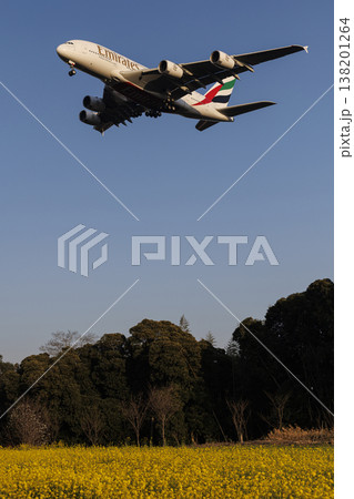 菜の花畑とエアバスA380 菜の花畑とエアバスA380 138201264
