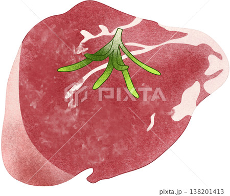 raw pork with rosemary raw pork with rosemary 138201413