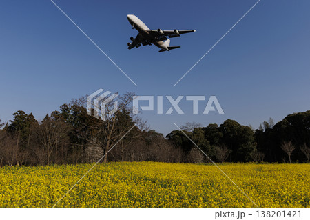 菜の花畑とB747ジャンボジェット 菜の花畑とB747ジャンボジェット 138201421
