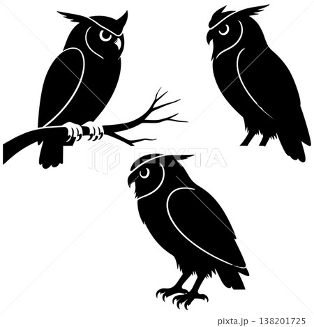 Three owls silhouettes with white outlines, one perched on branch, two standing on ground 138201725