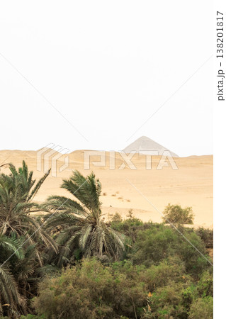 Lush green palm trees surround a tranquil oasis in the desert. Golden sand dunes rise in the background under a clear sky. Lush green palm trees surround a tranquil oasis in the desert. Golden sand dunes rise in the background under a clear sky. 138201817
