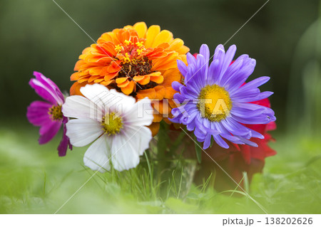Close-up of beautiful autumn bright multicolored field flowers composition among green grass in transparent glass vase outdoors on blurred sunny bokeh copy space background. Postcard theme concept. Close-up of beautiful autumn bright multicolored field flowers composition among green grass in transparent glass vase outdoors on blurred sunny bokeh copy space background. Postcard theme concept. 138202626