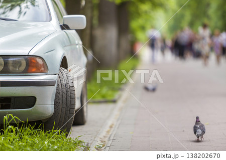 Car parked in pedestrian zone under trees along street with walking people on summer day. Car parked in pedestrian zone under trees along street with walking people on summer day. 138202670