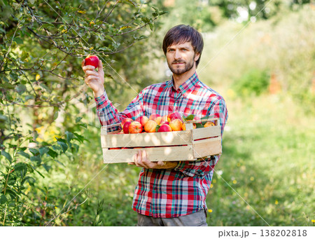 Man holding wooden box filled with red apples standing in green orchard during autumn harvest season Man holding wooden box filled with red apples standing in green orchard during autumn harvest season 138202818