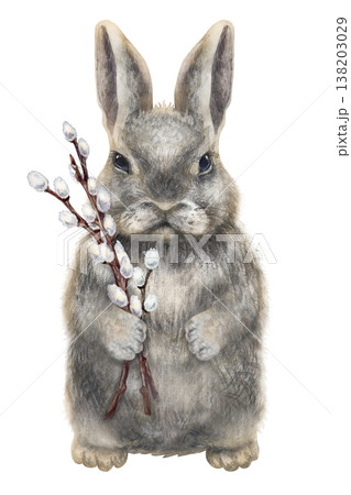 Cute Easter bunny holds a pussy willow branches in its paws. Elegant clip art, hand-painted in watercolor, on a white background. Perfect for invitations, cards, church design, and seasonal decor 138203029