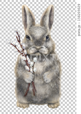 Cute Easter bunny holds a pussy willow branches in its paws. Elegant clip art, hand-painted in watercolor, on a white background. Perfect for invitations, cards, church design, and seasonal decor 138203029
