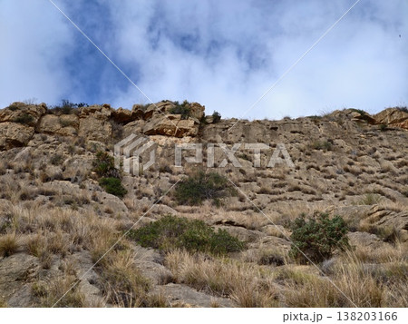 Vertical rocky formation reveals erosion textures amidst sparse vegetation and expansive sky Vertical rocky formation reveals erosion textures amidst sparse vegetation and expansive sky 138203166