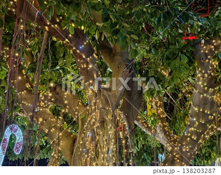 Twinkling decorative lights envelop trees transforming evening into captivating celebration Twinkling decorative lights envelop trees transforming evening into captivating celebration 138203287