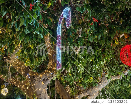 String of festive lights creating joyful ambiance surrounded by seasonal greenery and cheerful decor 138203291