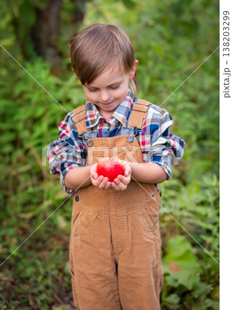 Close up child hands holding ripe red apple orchard during harvest season with natural background 138203299