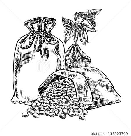 Soybeans in jute bags and a soy stem with leaves and pods. Black and white vector graphic illustration. Isolate. Perfect for creating product labels, posters, banners, menus, and more. 138203700