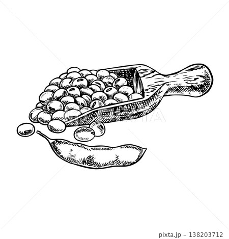 A pile of soybeans on a wooden spatula and a soybean pod. Black and white vector graphics. Perfect for creating product labels, posters, banners, menus, and more. A pile of soybeans on a wooden spatula and a soybean pod. Black and white vector graphics. Perfect for creating product labels, posters, banners, menus, and more. 138203712