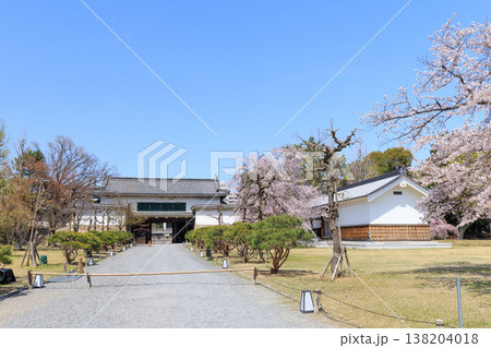 京都二条城の北大手門と桜 138204018