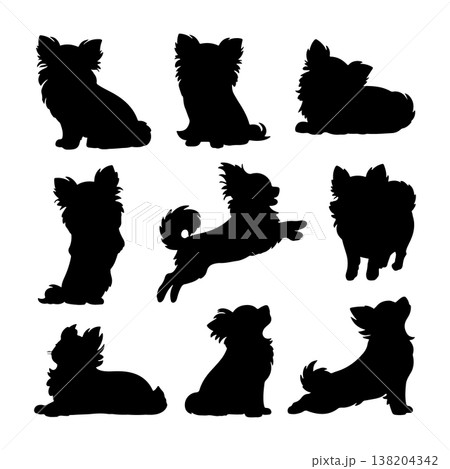 Silhouettes of Chihuahuas in various poses showcasing their playful and curious nature Silhouettes of Chihuahuas in various poses showcasing their playful and curious nature 138204342