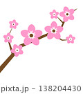 Vector branch of blossom sakura, blooming cherry tree with flowers isolated on a white background 138204430