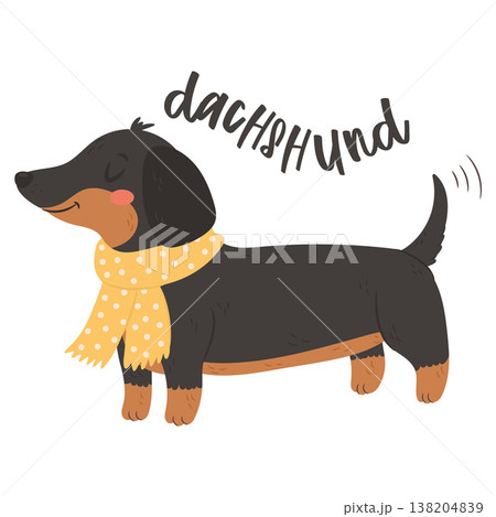 Dachshund dog wearing yellow scarf and sweater in cozy fashionable style illustration 138204839