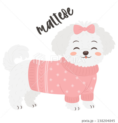 Cute maltese dog wearing pink sweater and bow in adorable fashion style illustration 138204845