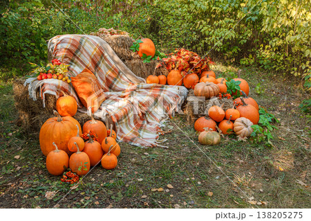 Beautiful autumn location with pumpkins, Halloween Beautiful autumn location with pumpkins, Halloween 138205275