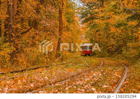 Autumn forest through which the tram travels, Kyiv and rails Autumn forest through which the tram travels, Kyiv and rails 138205294