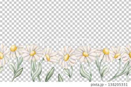 Cute Daisy Chamomile Flowers Seamless Border. Wildflowers Watercolor summer spring floral illustration hand painted isolated on white background for nursery baby kids design fresh prints cards textile Cute Daisy Chamomile Flowers Seamless Border. Wildflowers Watercolor summer spring floral illustration hand painted isolated on white background for nursery baby kids design fresh prints cards textile 138205331