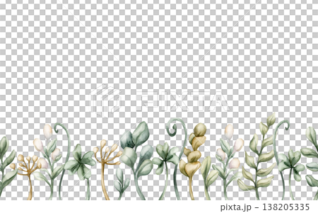 Cute Meadow Herbs Wild Plant Seamless Border. Watercolor summer spring floral illustration hand painted isolated on white background for nursery baby kids forest design fresh prints cards textile Cute Meadow Herbs Wild Plant Seamless Border. Watercolor summer spring floral illustration hand painted isolated on white background for nursery baby kids forest design fresh prints cards textile 138205335