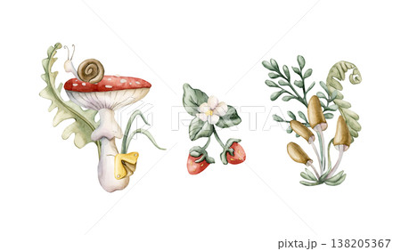 Cute Mushrooms Wild Strawberry Leaves . Watercolor summer floral forest illustration hand painted isolated on white background for nursery baby kids design fresh whimsical prints cards mystery textile 138205367