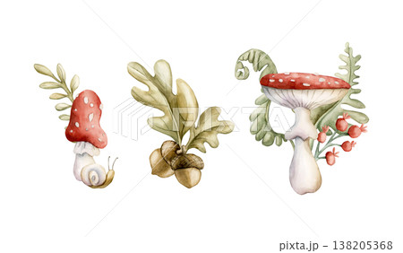 Cute Mushrooms Acorns Berries Leaves . Watercolor summer floral forest illustration hand painted isolated on white background for nursery baby kids design fresh whimsical prints cards mystery textile 138205368