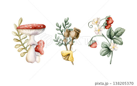 Cute Mushrooms Wild Strawberry Poppy Boxes . Watercolor summer floral forest illustration hand painted isolated on white background for nursery baby kids design fresh prints cards mystery textile 138205370