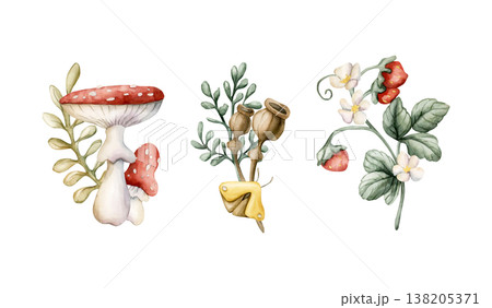 Cute Mushrooms Wild Strawberry Poppy Boxes . Watercolor summer floral forest illustration hand painted isolated on white background for nursery baby kids design fresh prints cards mystery textile 138205371
