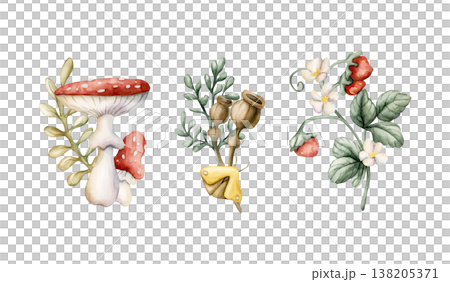 Cute Mushrooms Wild Strawberry Poppy Boxes . Watercolor summer floral forest illustration hand painted isolated on white background for nursery baby kids design fresh prints cards mystery textile 138205371