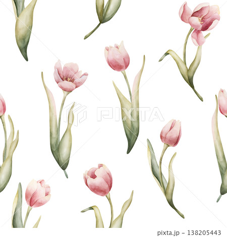 Pink Tulip Seamless Pattern Spring Garden Bulbs Flower. Watercolor hand drawn floral illustration isolated on white background for Easter Woman's day design textile fresh fabric print cosmetic package Pink Tulip Seamless Pattern Spring Garden Bulbs Flower. Watercolor hand drawn floral illustration isolated on white background for Easter Woman's day design textile fresh fabric print cosmetic package 138205443
