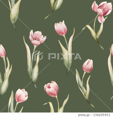 Pink Tulip Seamless Pattern Spring Garden Bulbs Flower. Watercolor hand drawn floral illustration isolated on green background for Easter Woman's day design textile fresh fabric print cosmetic package 138205451